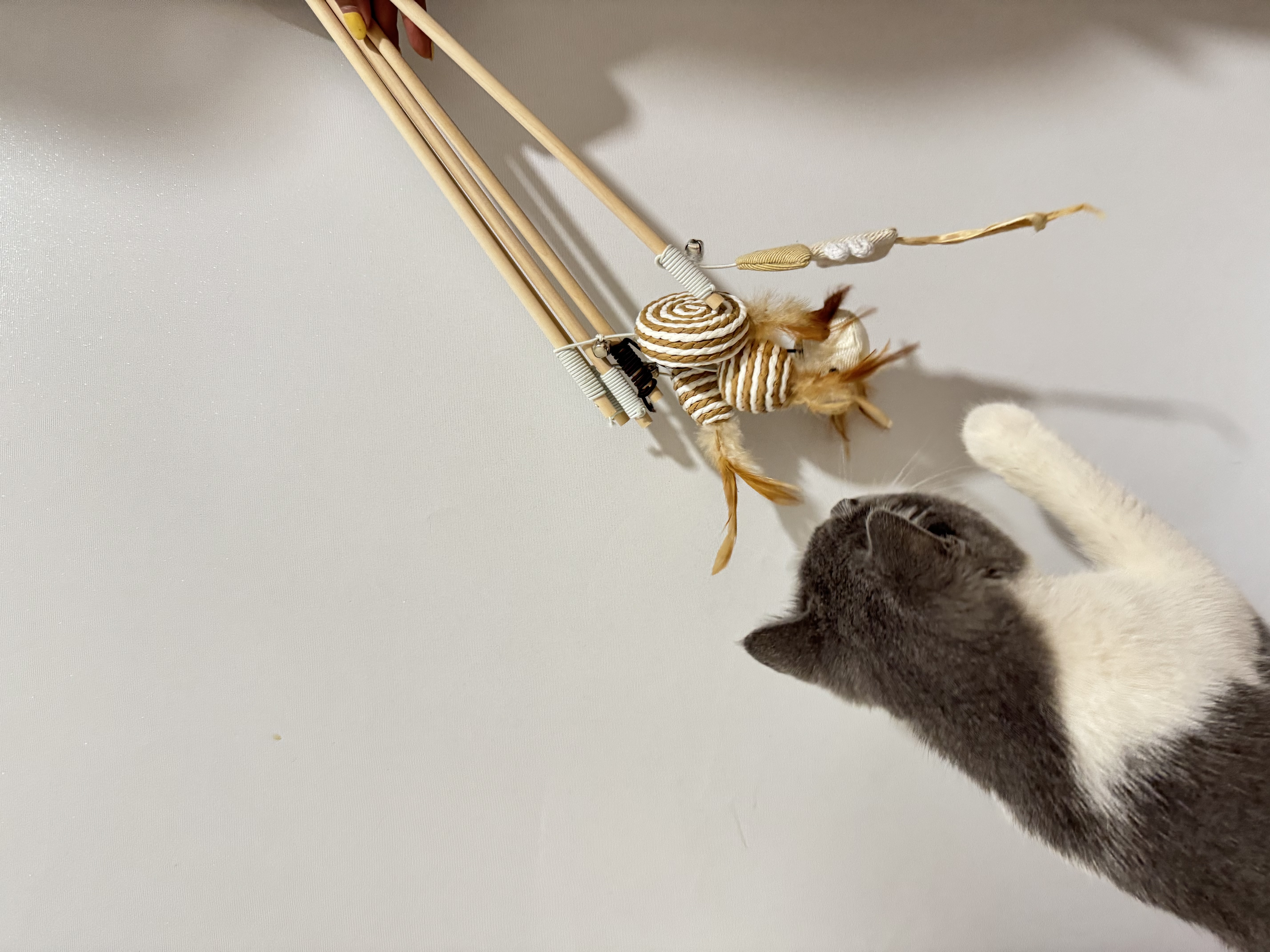 Stick Toy 2