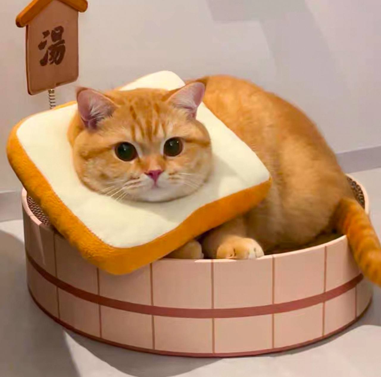 Cat Neck Pillow