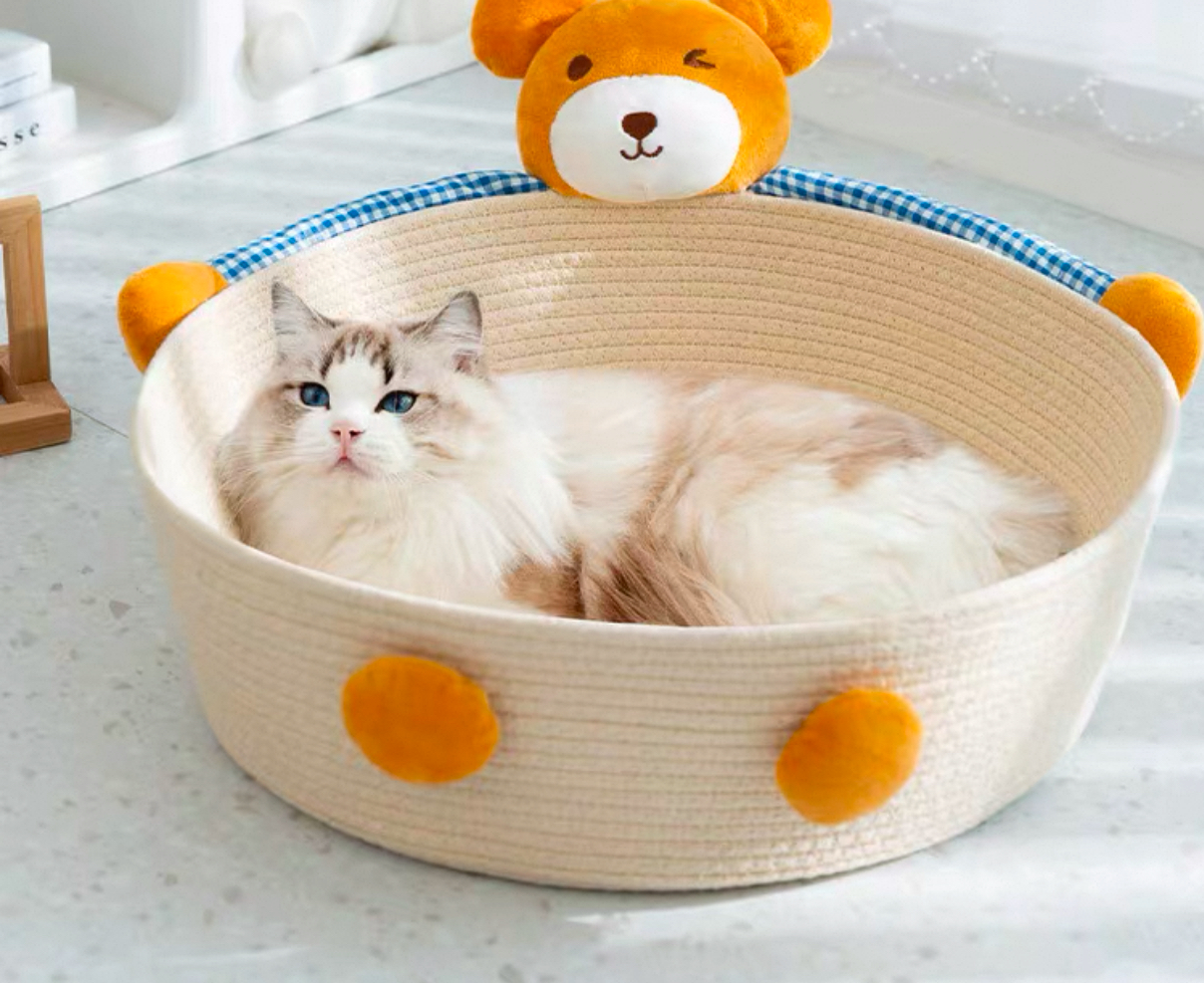 Scratchable Bed