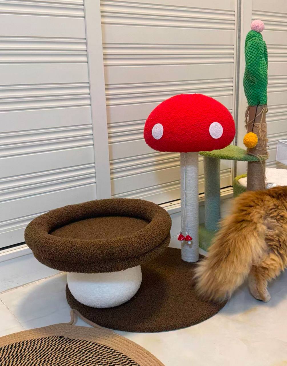 Mushroom Tree
