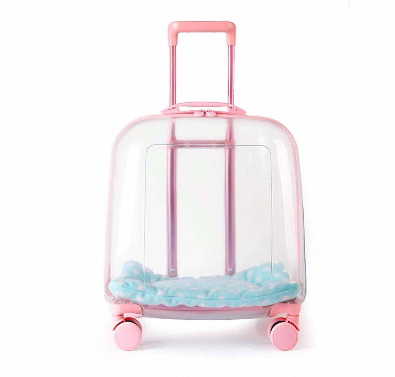 cat-stroller