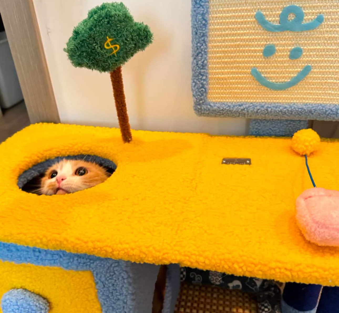 Cat Table 3