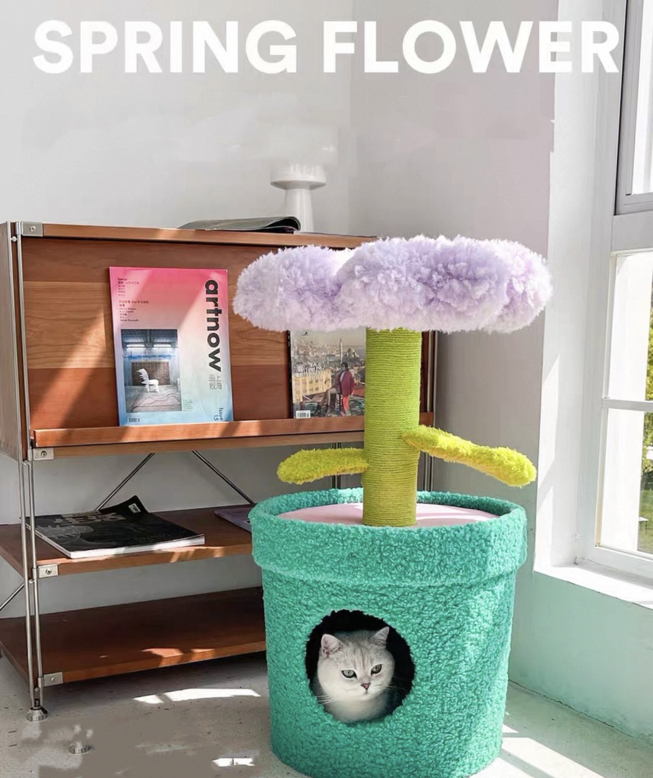 Plant Tree