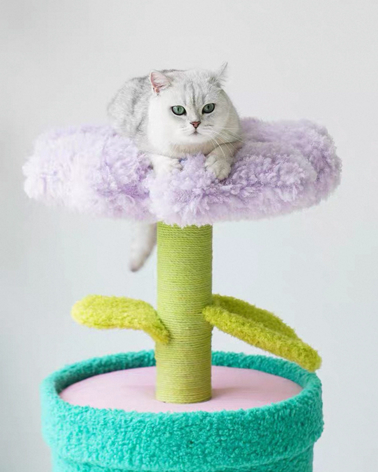 Plant Tree 2